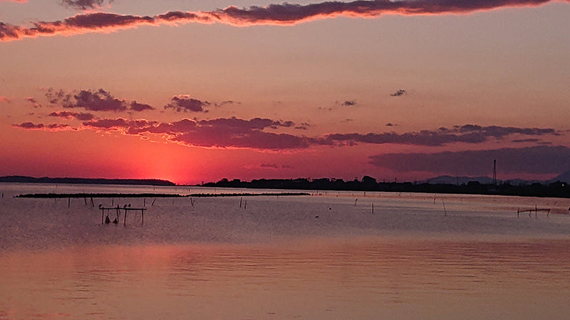 絶景を巡る〜霞ヶ浦湖畔の夕焼け〜