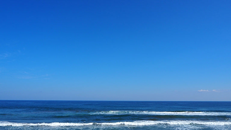 絶景を巡る〜鹿島灘海浜公園〜