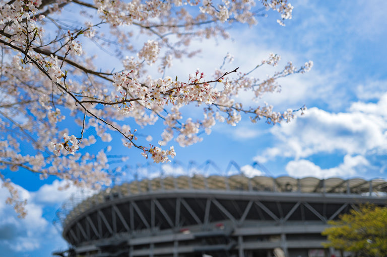 Match Highlights & Photos: vs Kyoto Sanga F.C.