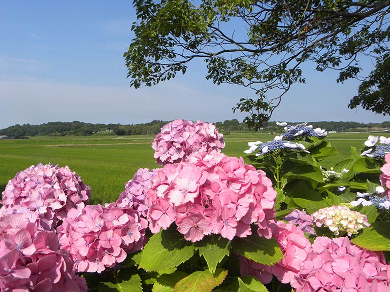 絶景を巡る〜二本松寺〜