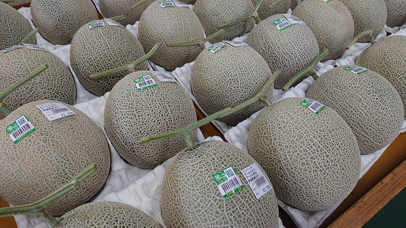 直売所を巡る〜JA茨城旭村特産物直売所　サングリーン旭〜