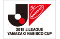 2015 Jリーグヤマザキナビスコカップ決勝に関して
