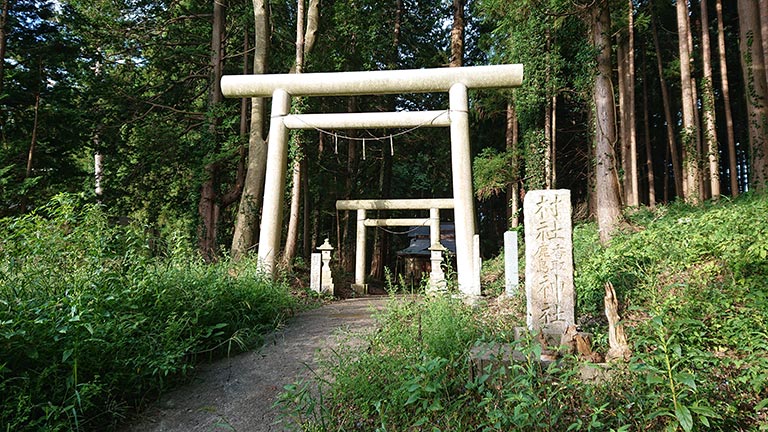 鹿行の道を巡る〜カシマ神社を巡った先に〜