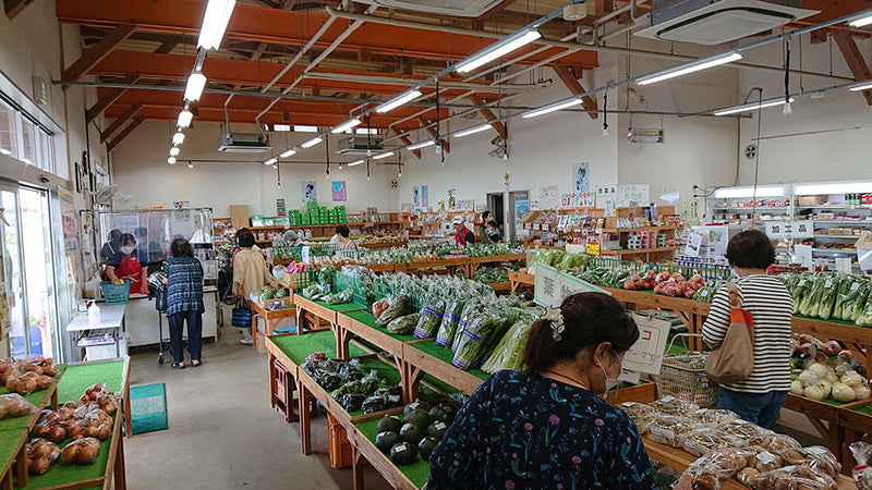 直売所を巡る〜JAなめがたしおさい農産物直売所　楽郷〜