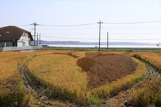 なめがたファーマーズヴィレッジ：収穫祭