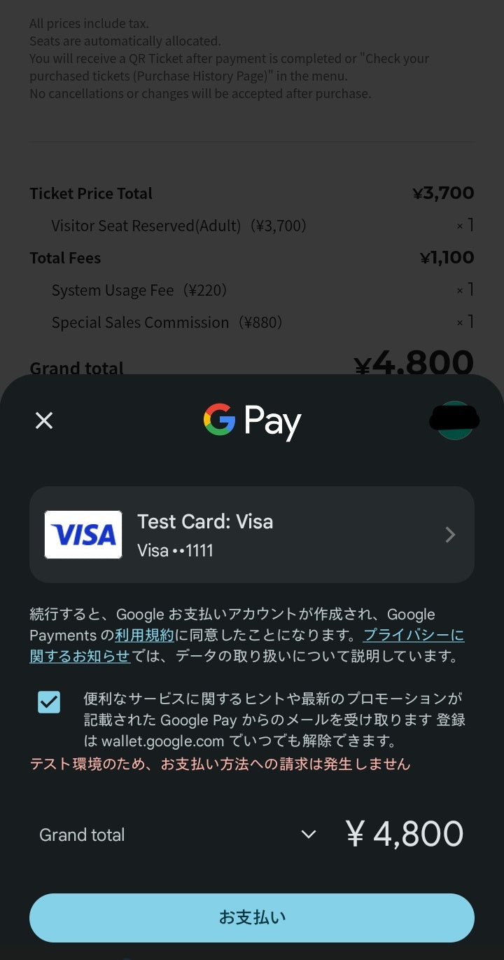 Click the final payment button to complete your transaction.