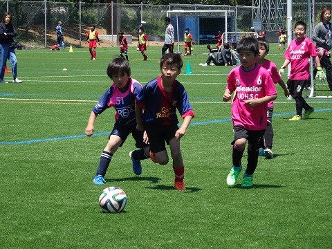 photo photo