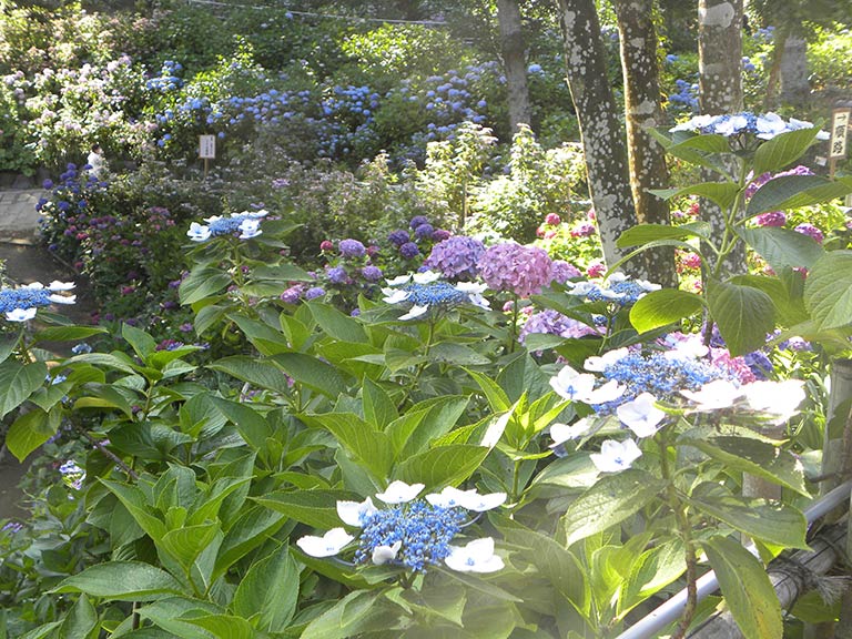 photo photo