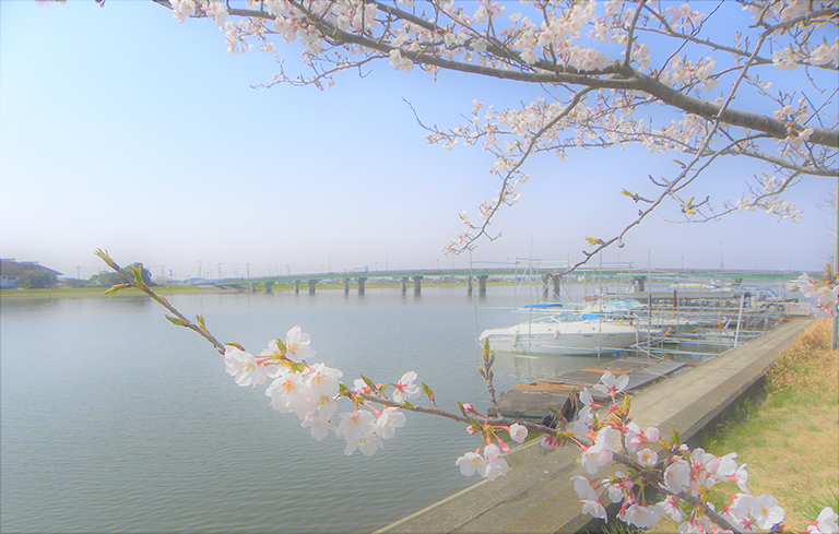 photo photo