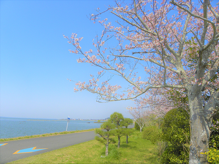 photo photo