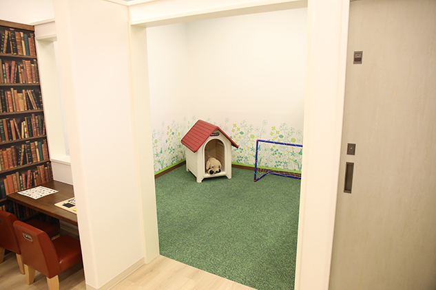 photo photo
