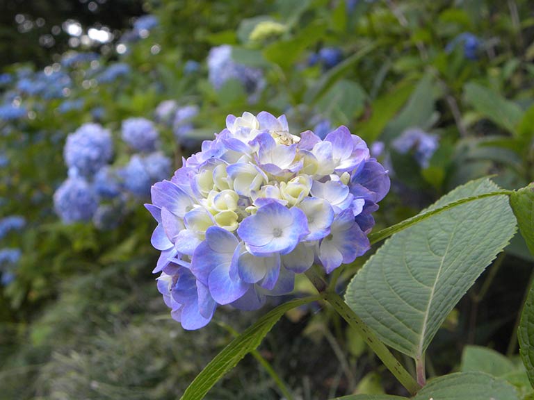 photo photo
