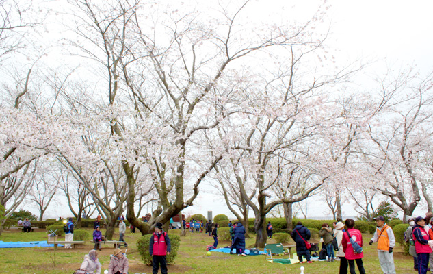 photo photo