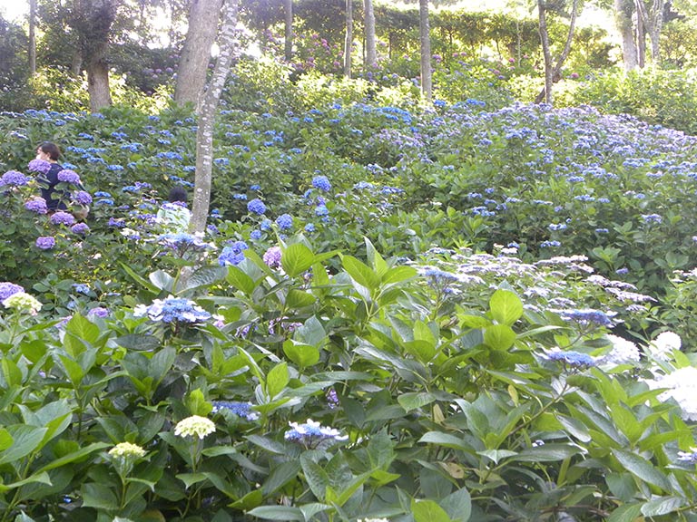 photo photo