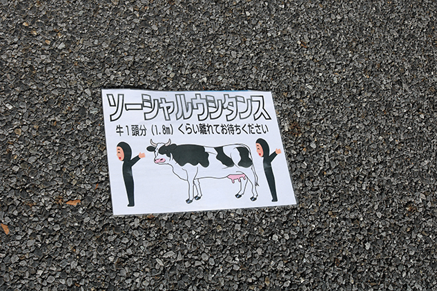photo photo
