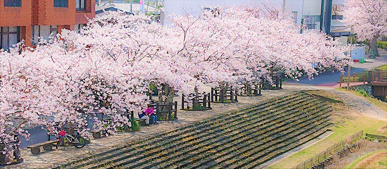 photo photo