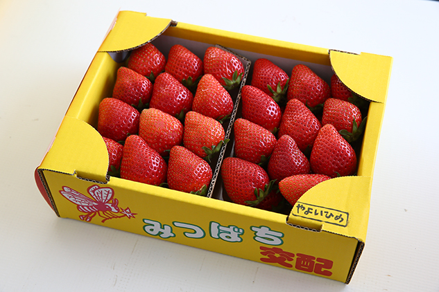 photo photo