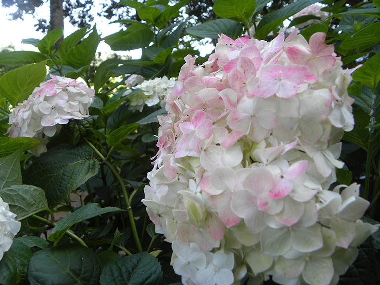 photo photo
