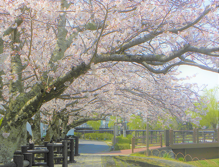 photo photo