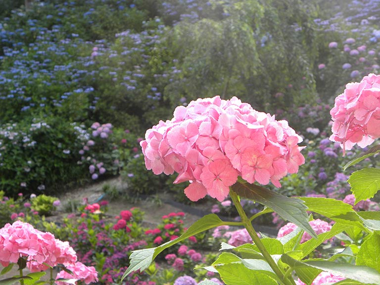 photo photo