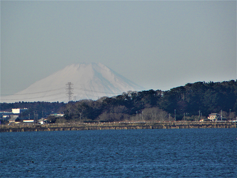 photo photo