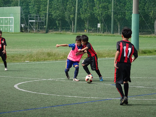 photo photo