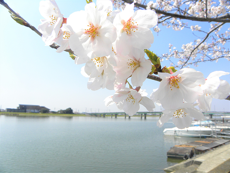 photo photo