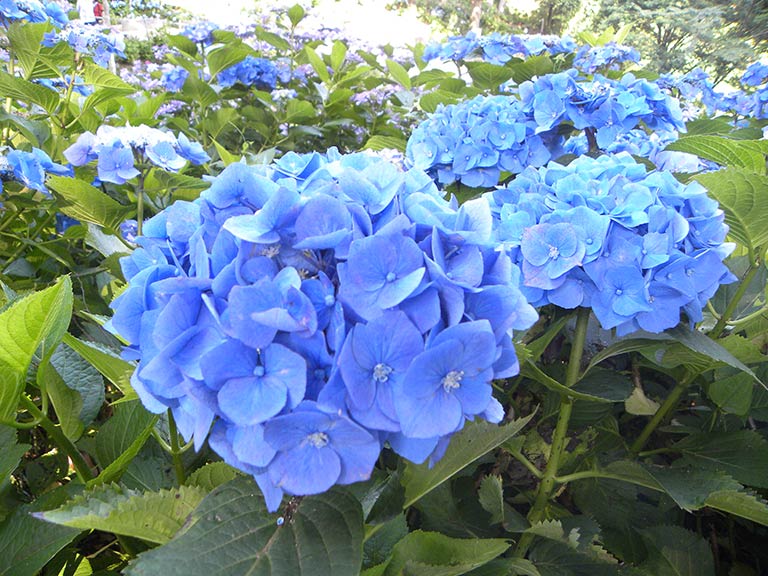 photo photo
