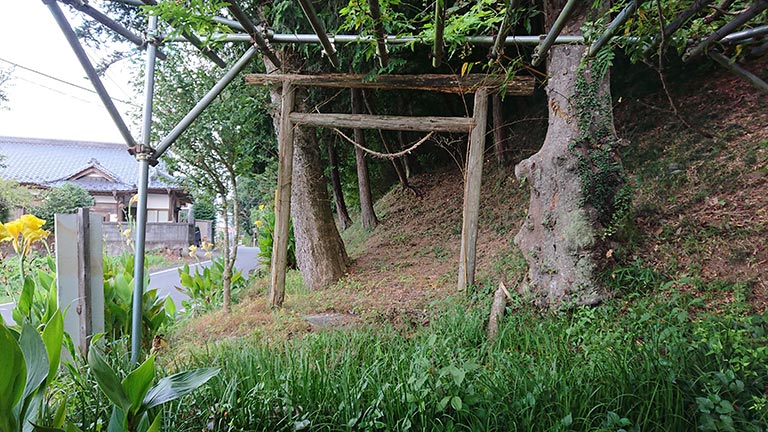 photo photo