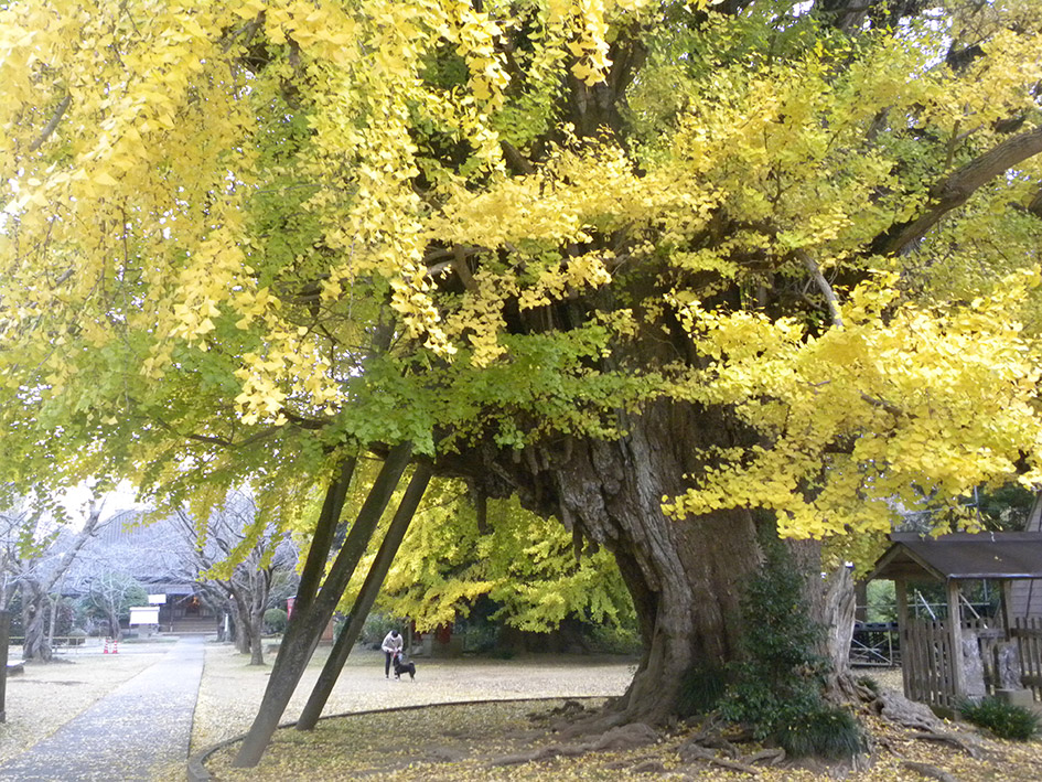photo photo