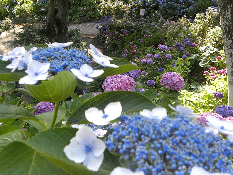 photo photo