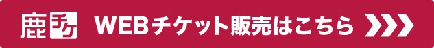 photo photo