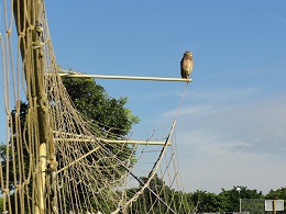 photo photo