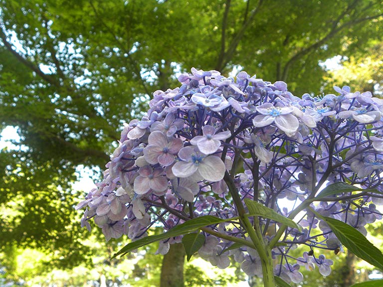 photo photo