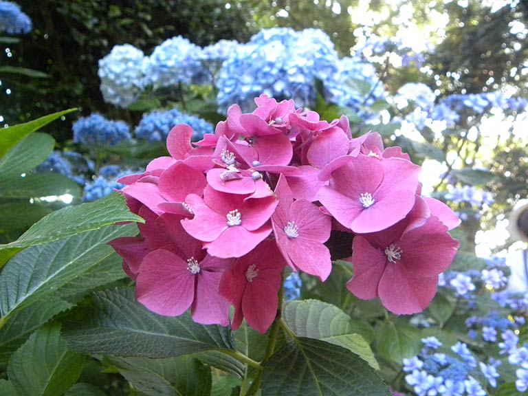 photo photo