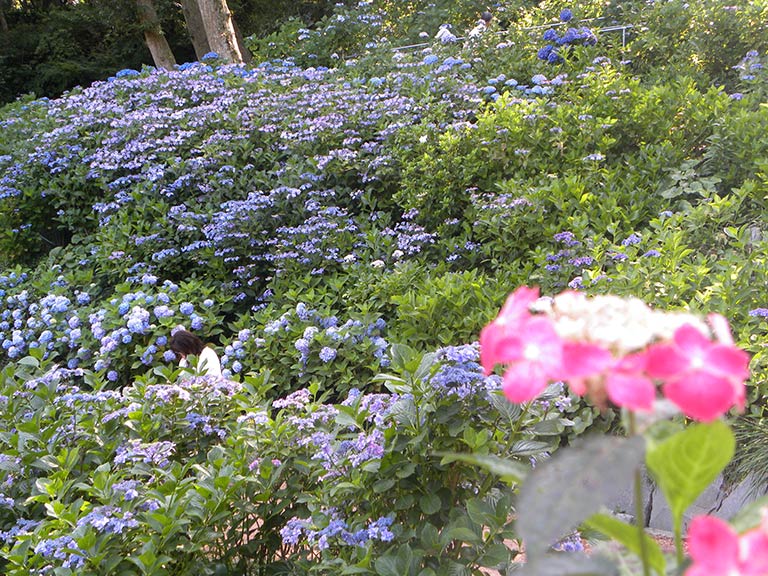 photo photo