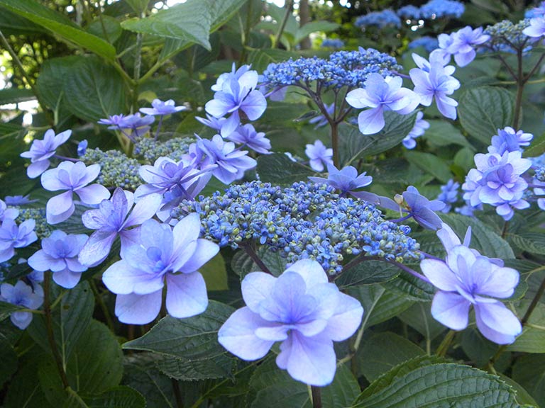 photo photo
