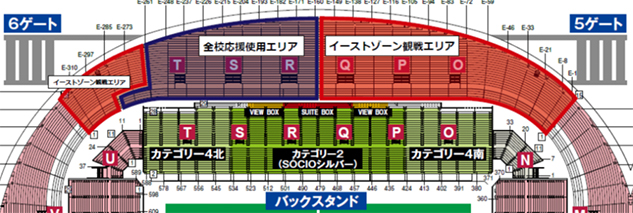 photo photo