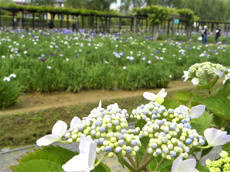 photo photo