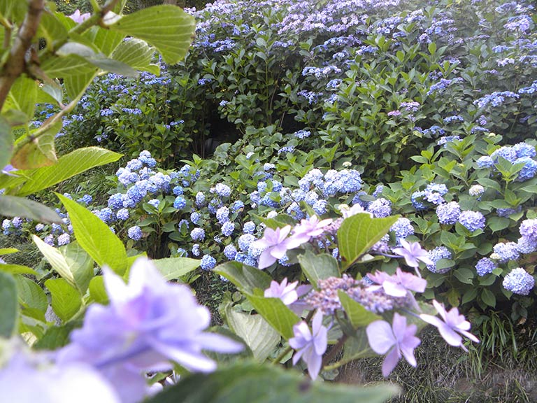 photo photo