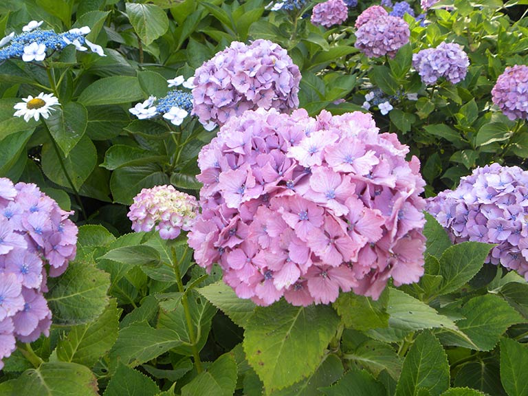 photo photo