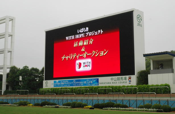 photo photo