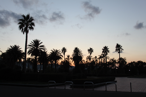 photo photo