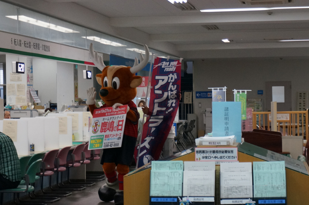 photo photo
